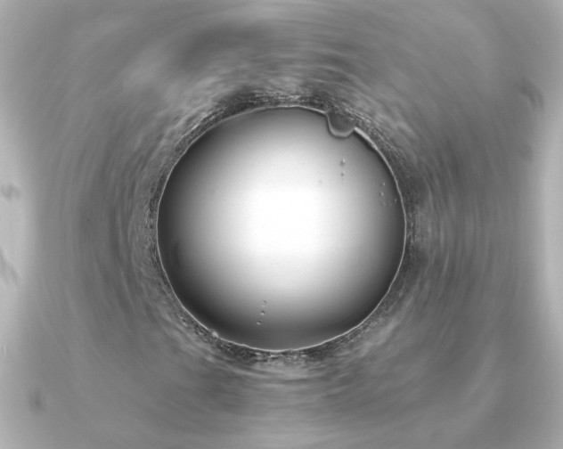 X0000091241201200708091429