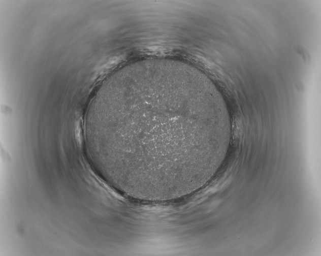 X0000091241202200708091429