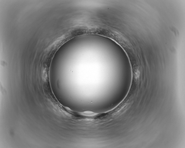 X0000091241204200708091429