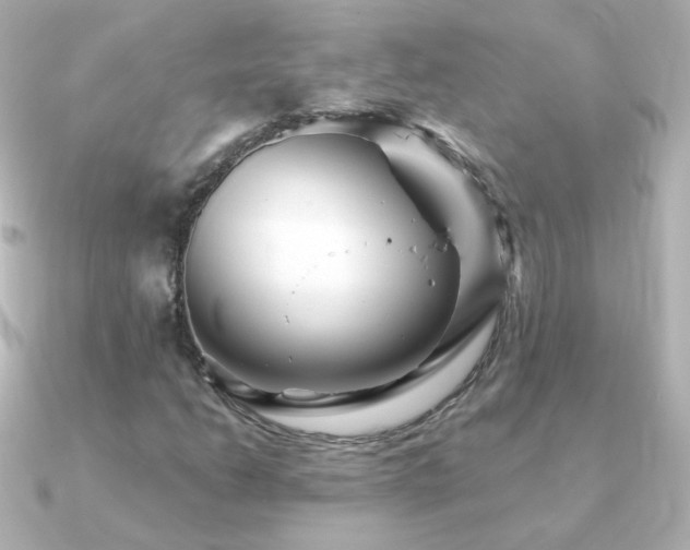 X0000091241206200708091429