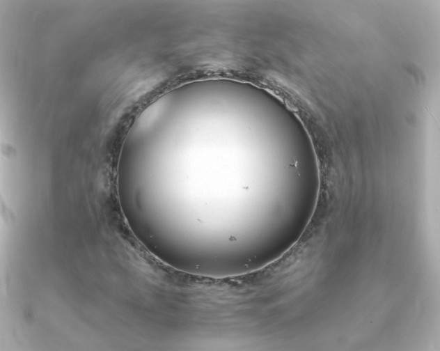 X0000091241207200708091429