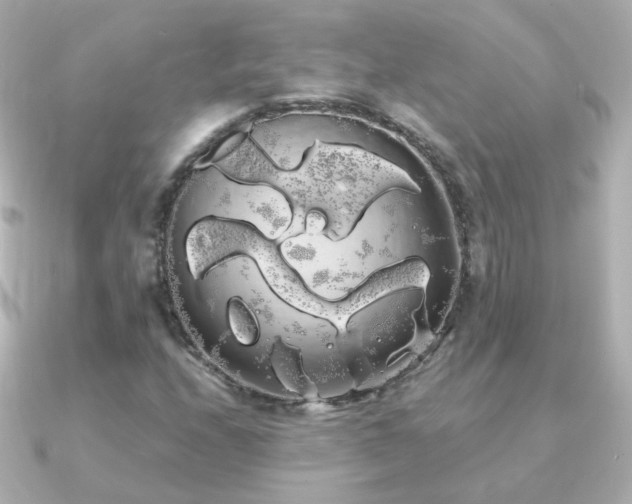 X0000091241208200708091429