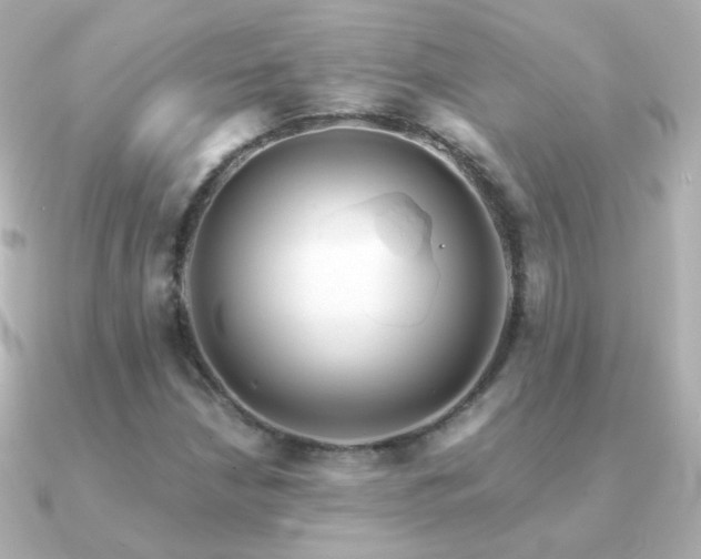 X0000091241210200708091429