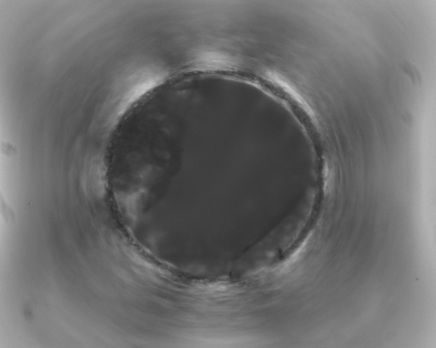 X0000091241213200708091429