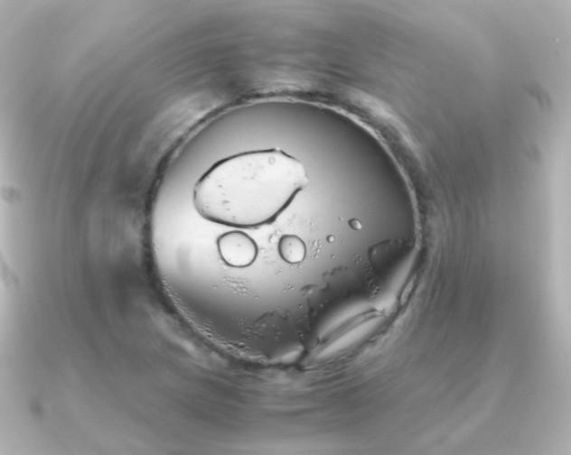 X0000091241217200708091429