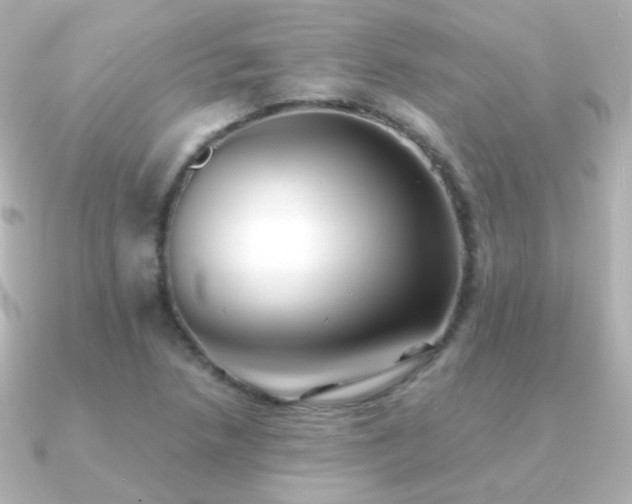 X0000091241218200708091429