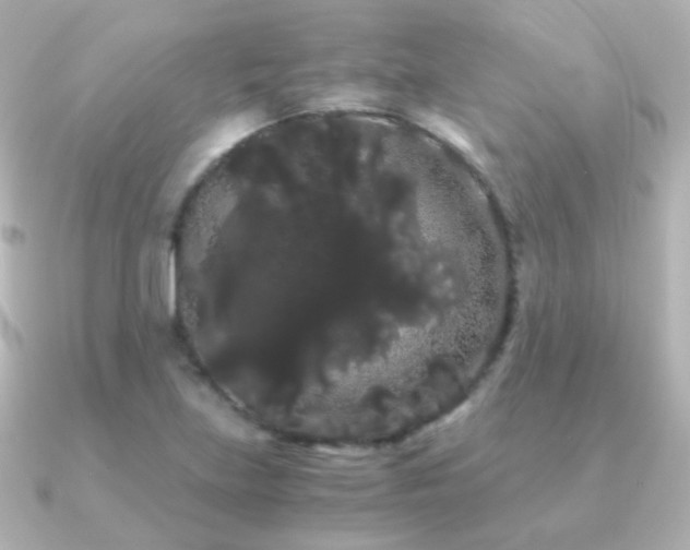 X0000091241219200708091429