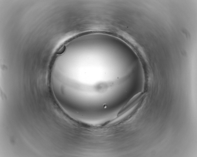 X0000091241222200708091429