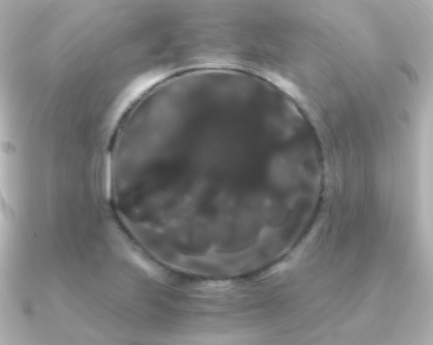 X0000091241223200708091429
