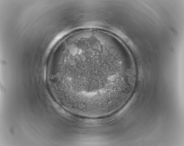 X0000091241224200708091429