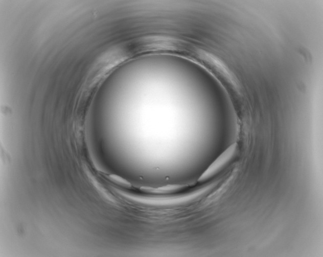 X0000091241225200708091429