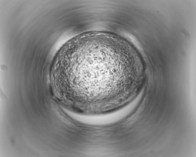 X0000091241226200708091429