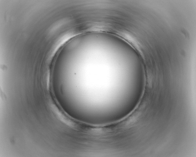 X0000091241227200708091429