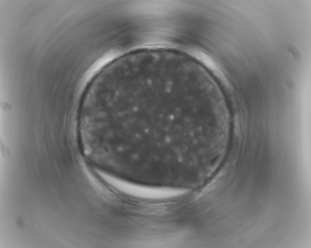 X0000091241229200708091429