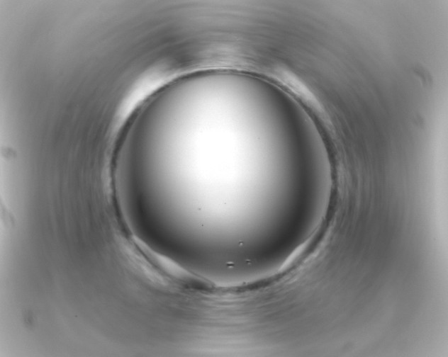 X0000091241230200708091429
