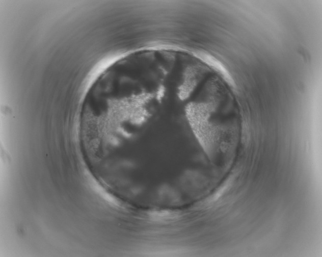 X0000091241231200708091429