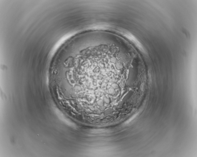 X0000091241232200708091429