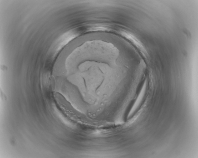 X0000091241233200708091429