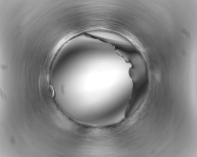 X0000091241234200708091429