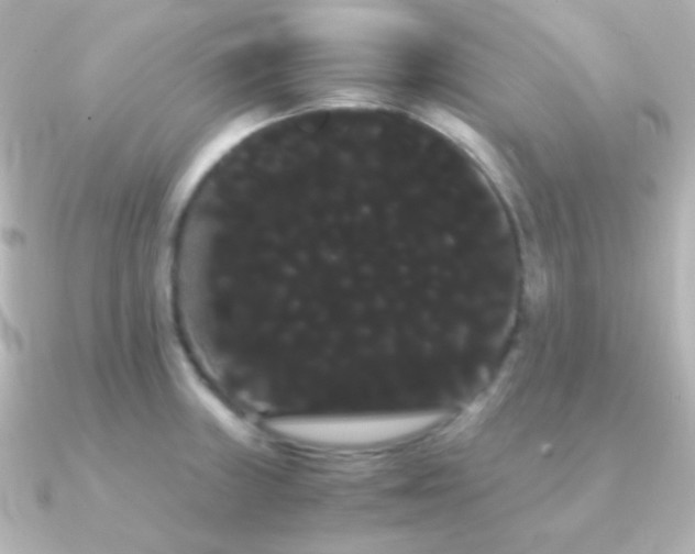 X0000091241235200708091430