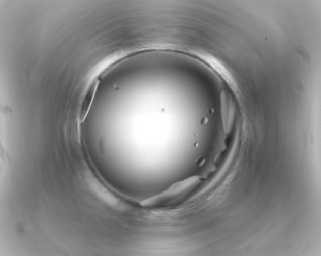 X0000091241238200708091430