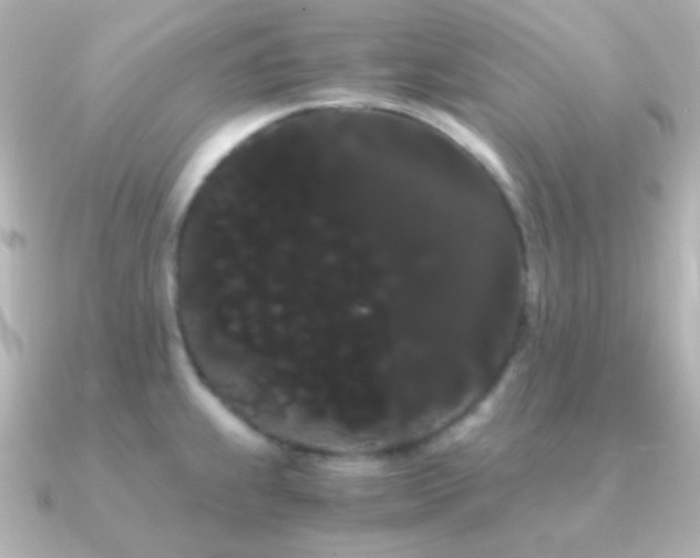 X0000091241239200708091430
