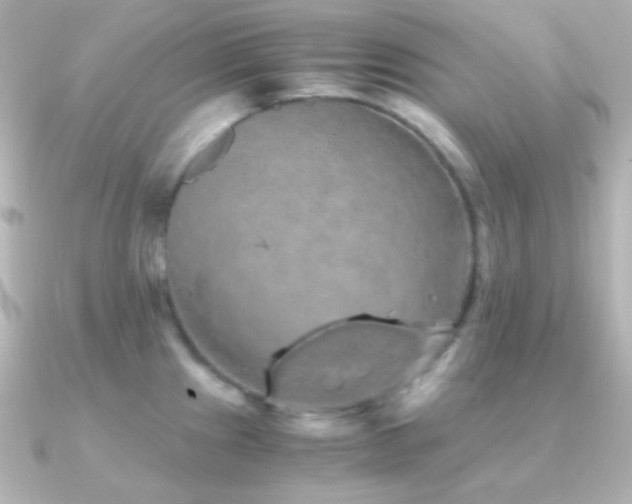 X0000091241241200708091430