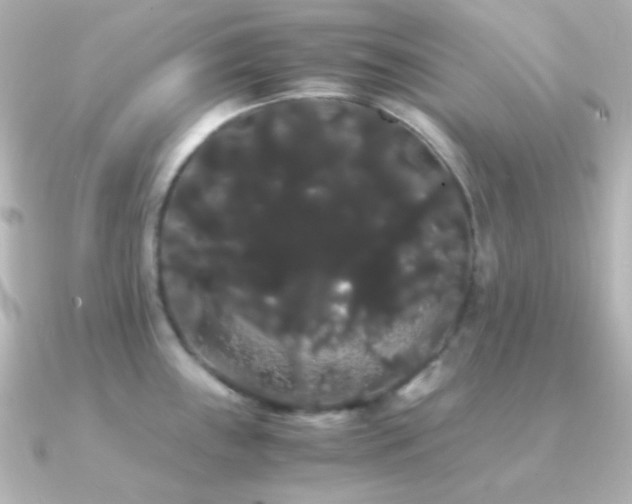 X0000091241243200708091430