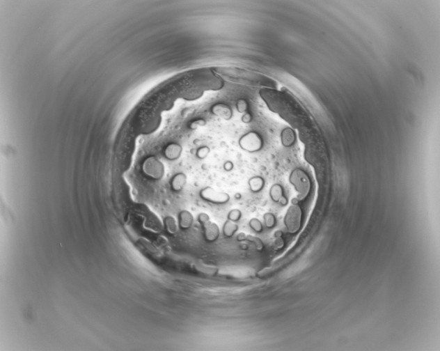 X0000091241244200708091430