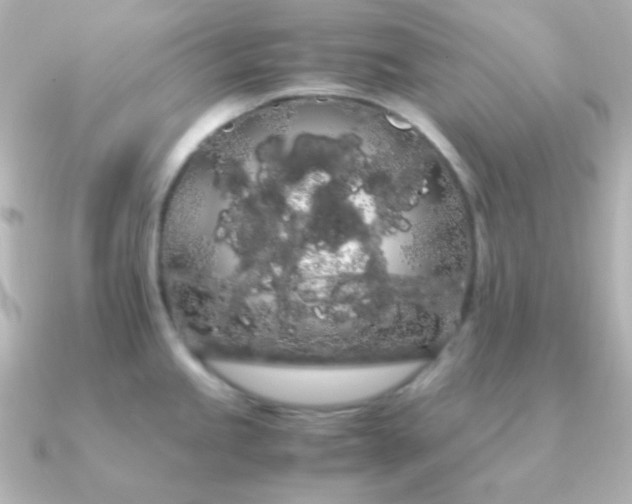 X0000091241245200708091430