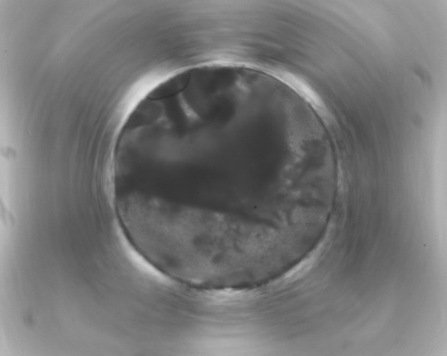 X0000091241247200708091430
