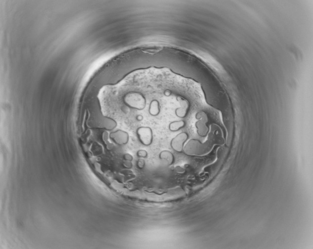 X0000091241248200708091430
