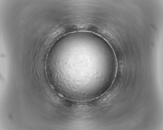 X0000091241249200708091429