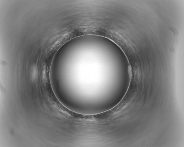 X0000091241250200708091429