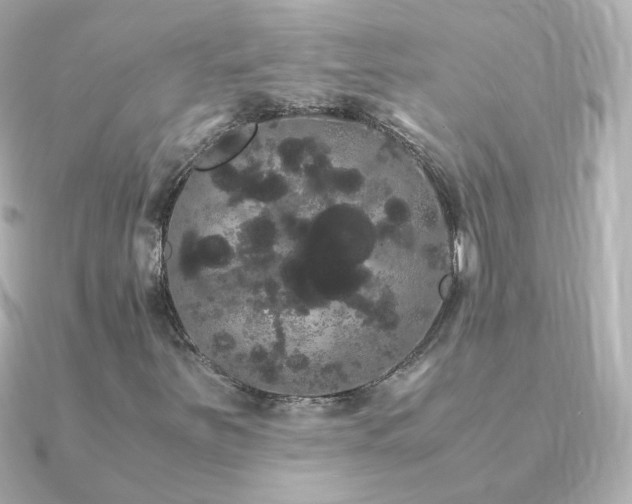 X0000091241251200708091429