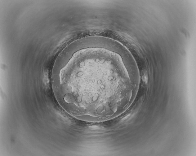 X0000091241252200708091429