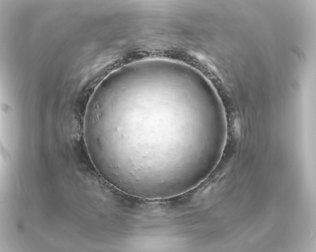 X0000091241253200708091429