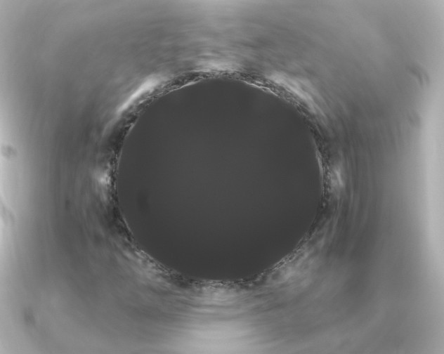 X0000091241254200708091429