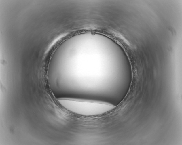 X0000091241256200708091429