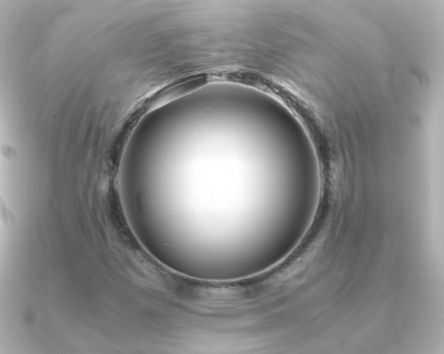 X0000091241257200708091429