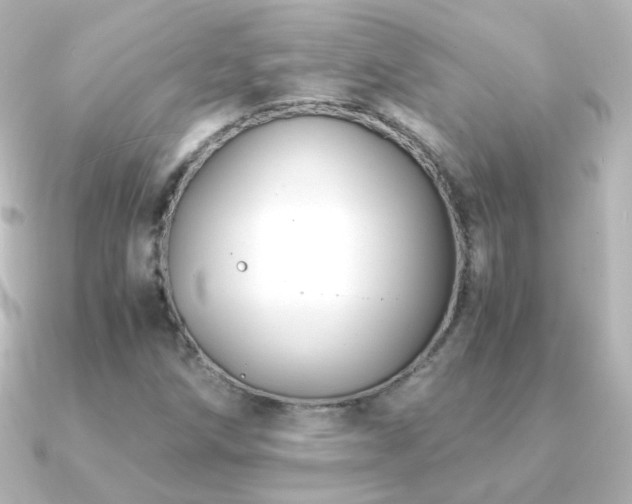 X0000091241258200708091429