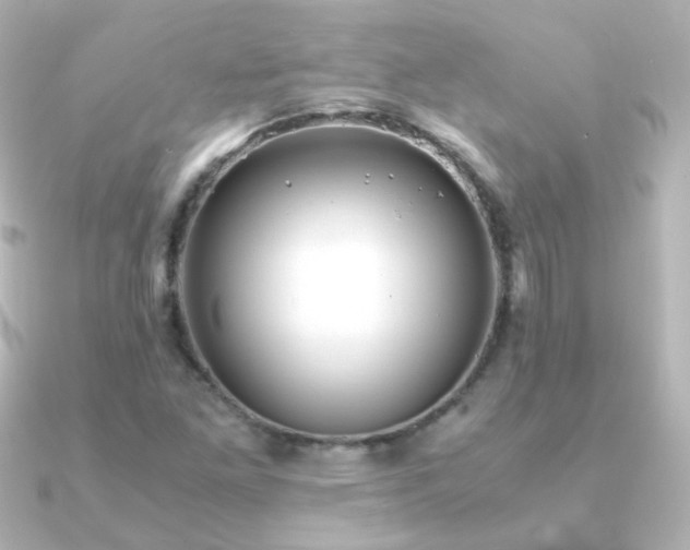 X0000091241261200708091429