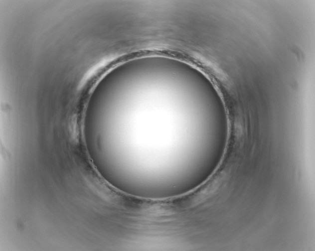 X0000091241262200708091429