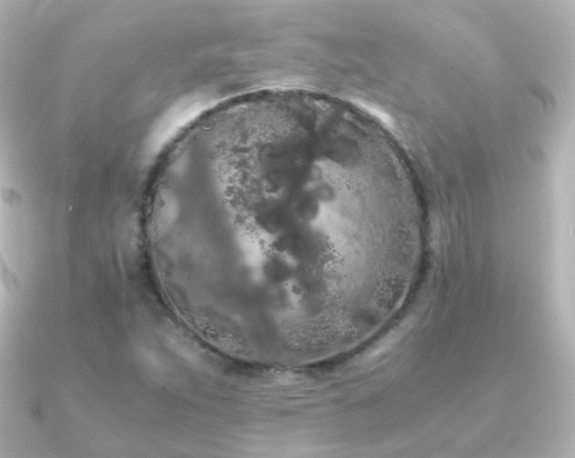 X0000091241263200708091429