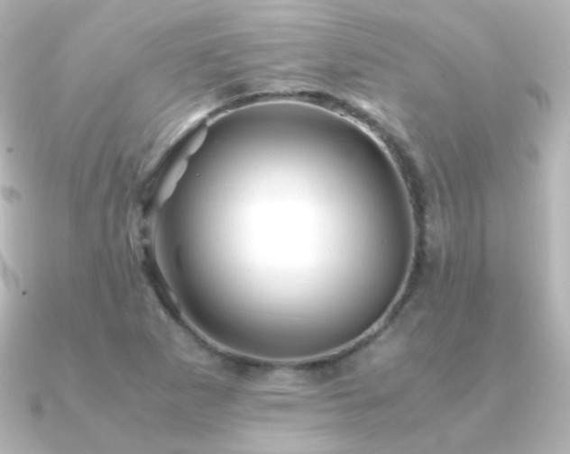 X0000091241265200708091429