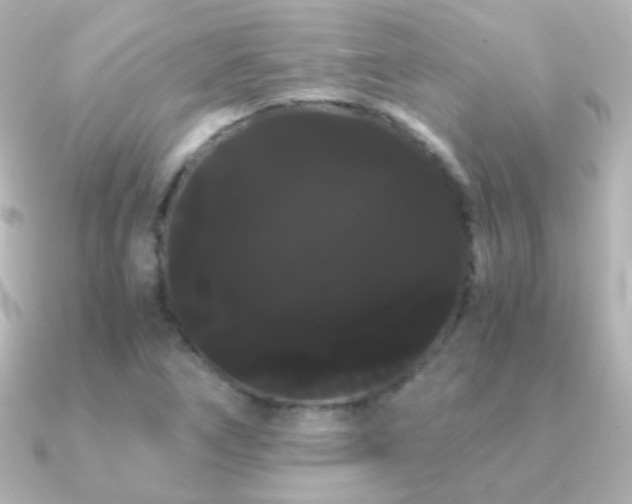 X0000091241266200708091429