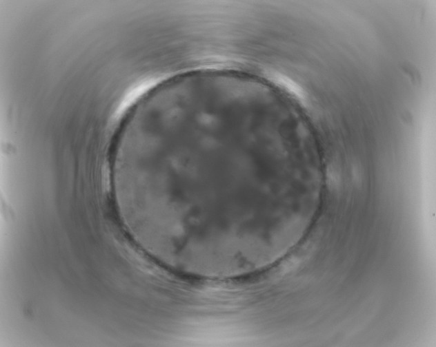 X0000091241267200708091429