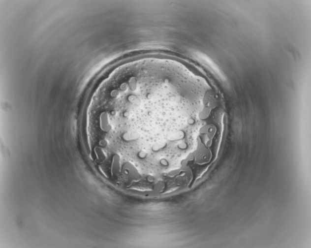 X0000091241268200708091429