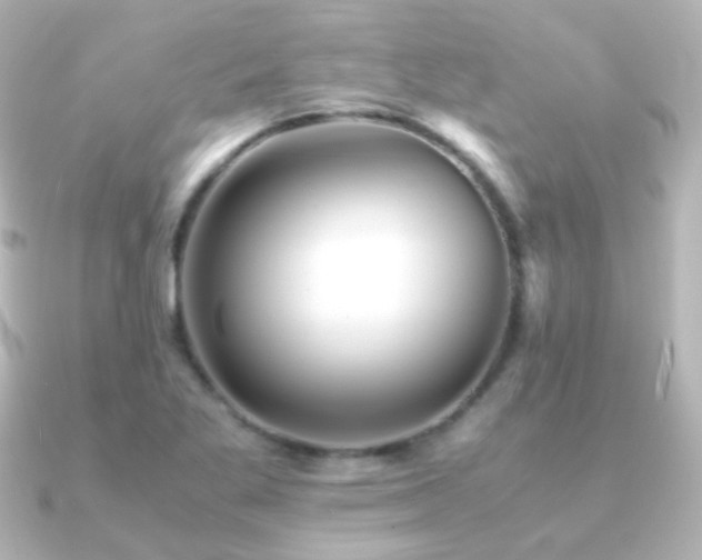 X0000091241269200708091429