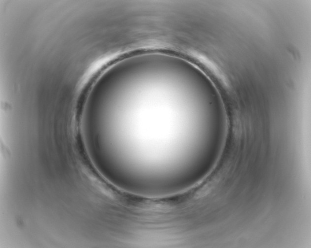 X0000091241270200708091429